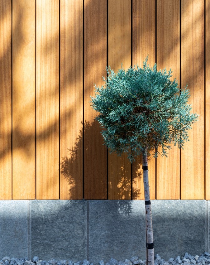 Ayos medienos lentos